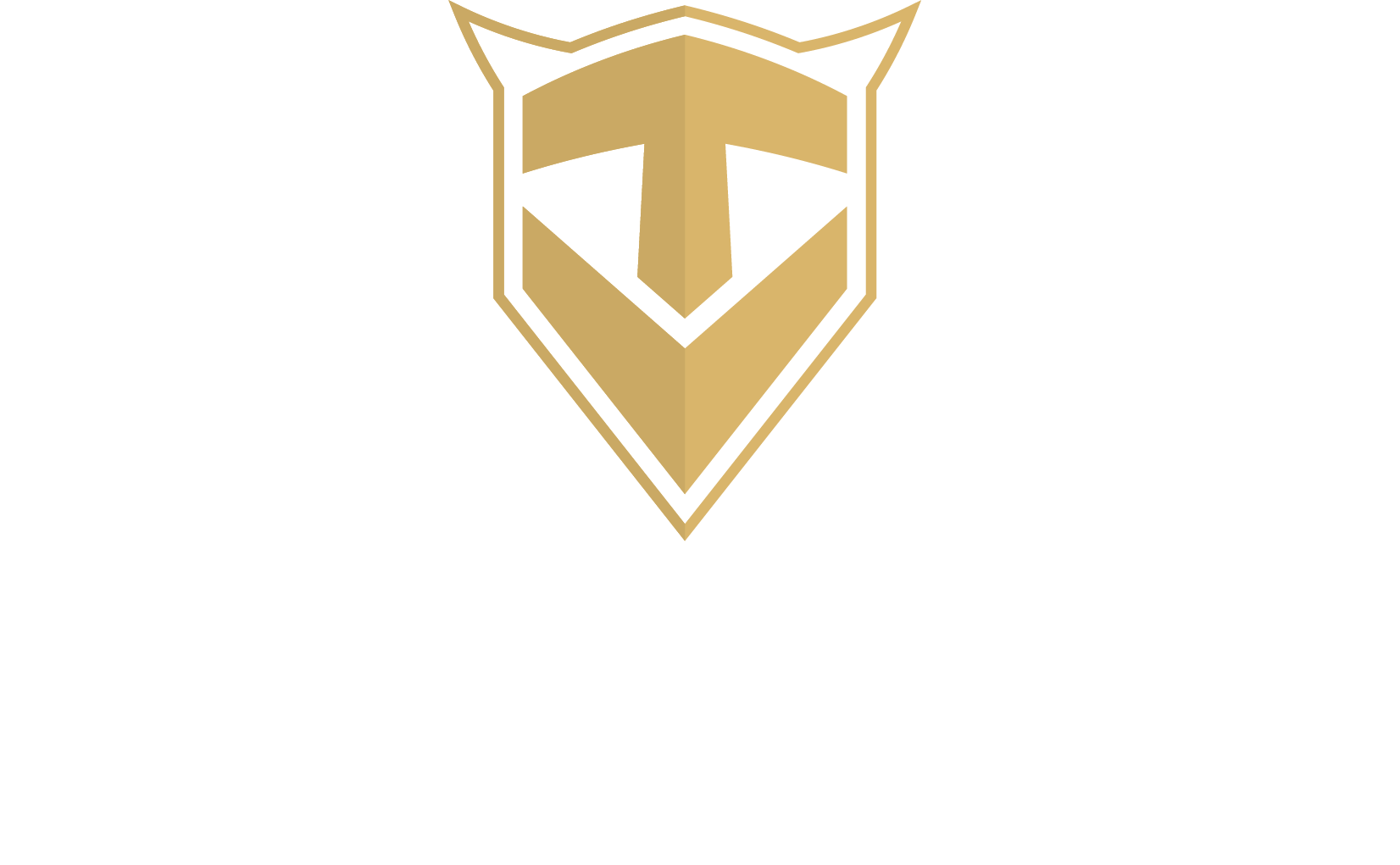 VIKING Technology